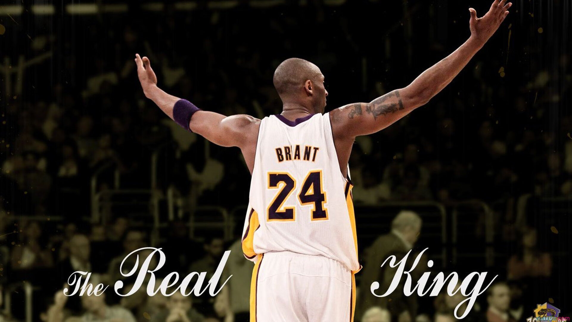 乐鱼体育官方网站最新登录入口-中国篮球需要更多时间与耐心，简要说明中国篮球现状